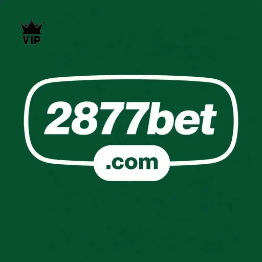 Programa VIP exclusivo da 2877bet